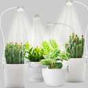 Shyineyou Small Grow Lights for Indoor Plants Full Spectrum,Plant Lights for Indoor Growing, Clip on Plant Grow Light with 3/9/12H Timer for Succulents,Small Plants, 4-Pack