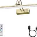 Picture Light, Cordless Picture Lights for Wall, 20inch Dimmable Picture Lights with Timer, 5000mAh Battery Operated Wall Lights for Display Gallery Painting Art Frame Portrait, Metal, Antique Brass