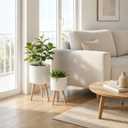 2 Pack Plant Stand Indoor Metal Planter Holder Wooden Leg Modern White