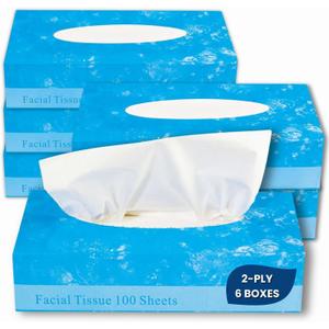 1InTheOffice Facial Tissue Paper, White Tissue, Flat Box with 100 Sheets, Soft 2-Ply, 6 Pack