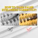 240pcs Individual Lashes Extension, 20D Volume Mix Pack Cluster Lashes, 8-12mm Mix Lengths C Curl 0.07mm Thickness Professional Makeup Individual Cluster Lashes and Apply Under your Lashes