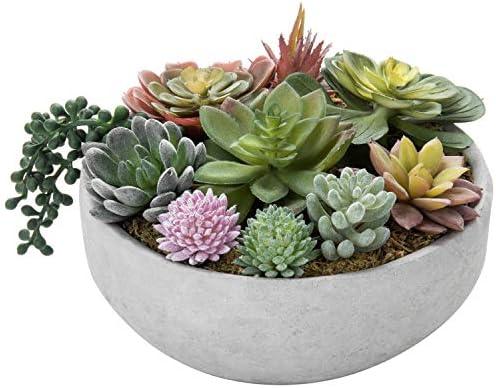 Amazon.com: MyGift 8 Inch Round Modern Artificial Succulent Arrangement Potted in Gray Concrete Plant Bowl, Assorted Faux Mini Succulents in a Decorative Planter Pot : Home & Kitchen