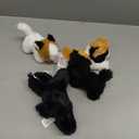 Lenwen 10 Pcs Cat Stuffed Animals Bulk Soft Cuddly Kitten Plush Sets Smitten Kittens Assorted Fluffy Stuffed Cats for Kiddos Birthday Gift Pet Party Favors Operation Christmas Stuffers(Standing Style)