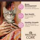 Wellness CORE Tiny Tasters Minced & Pate Kitten Wet Cat Food, Natural, Protein-Rich, Grain Free, 1.75-Ounce Pouch, 12 Pack, (Chicken Variety Pack)