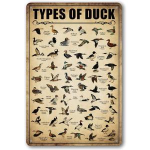 Type Of Duck Tin Sign Duck Hunting Decor Mallard Ducks Knowledge Metal Signs Vintage Duck Hunting Decorations For Home Kitchen Bathroom Duck Wall Art Decor Poster 8 x 12 Inch