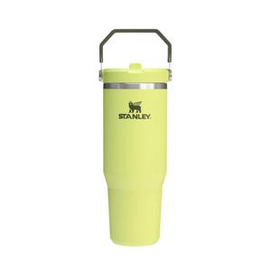 STANLEY IceFlow 2.0 Flip Straw Tumbler with Handle 30 oz | Twist On Lid and Flip Up Straw | Leakproof Water Bottle