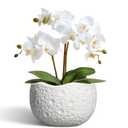 Thirtypot Ceramic Pots for Plants - 6 Inch Plant Pot for Indoor Outdoor, Decorative Orchid Pots with Drainage Hole, Unique Round Modern Planters, Home Decor, Gifts for Plant Lovers, White