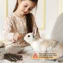 600g Organic Apple Sticks Small Animals Molar Wood Treats Toys for Chinchillas Guinea Pig Rabbits Hamster Gerbil Parrot Bunny Chew Stick Toys, 21.2 OZ (1.33 Pound (Pack of 1))