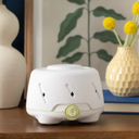 Yogasleep Dohm (Green) The Original White Noise Machine, Relaxing Natural Sound from a Real Fan, Sleep Aid & Noise Cancelling for Adults & Baby, Office Privacy & Meditation, Baby Registry