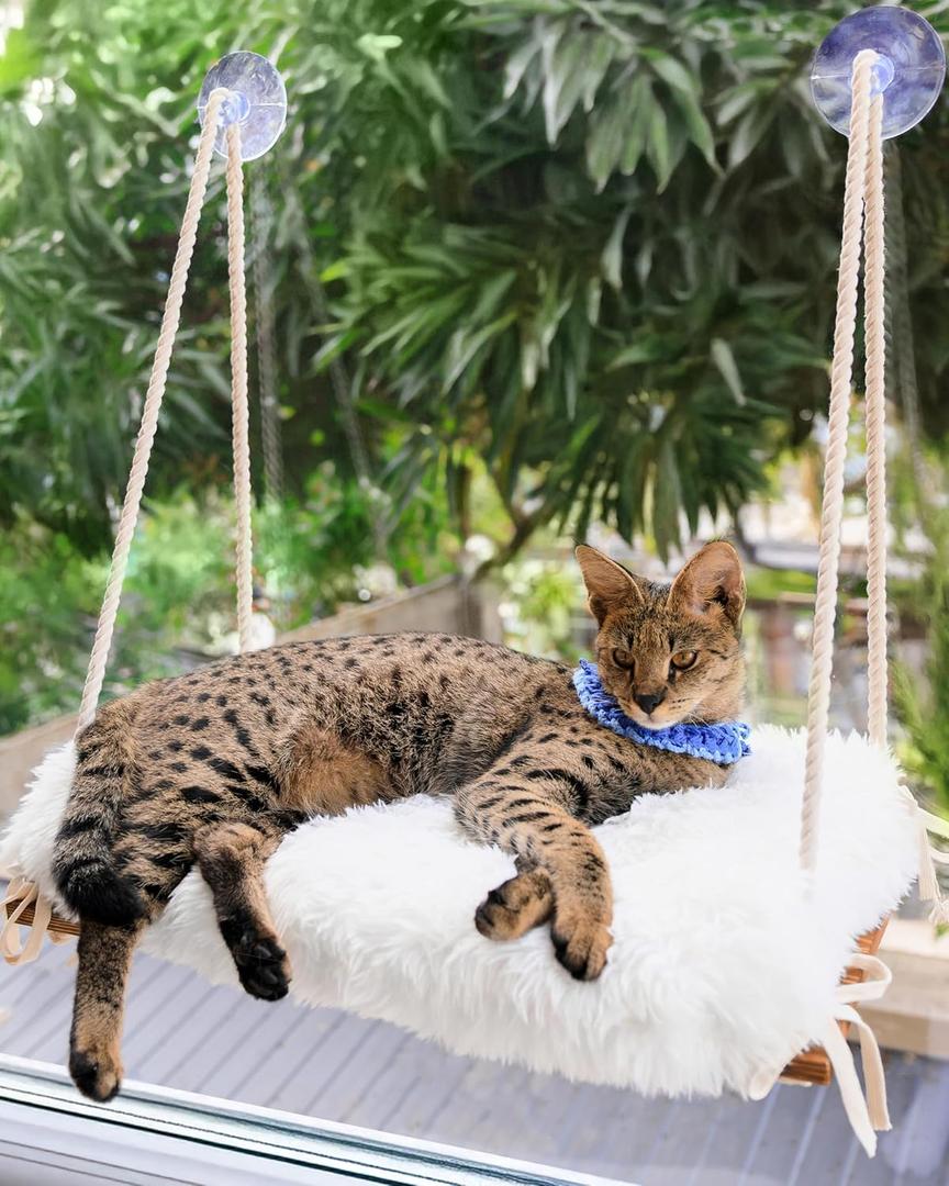 Cat Window Perch for Large Cats - Hammock Bed for Heavy Indoor Cats - Solid Wood Seat, 5 Strong Suction Cups, Soft Cushion - Rustic Shelf for Pets Inside (Brown/White)