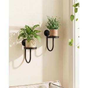 Leaf&lull Wall Plant Holder Planter with Wall Planters for Indoor Plants Plant Hanger Hanging Plant Holder Wall Hanging Decor 2 Pack Black