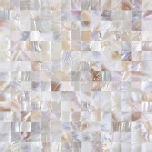 Peel and Stick Tile Backsplash 10PCS Mother of Pearl Shell Mosaic Stick on Decor for Kitchen Living Room Bathroom (Nature White)