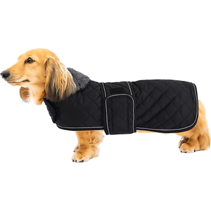 Small Dog winter coat