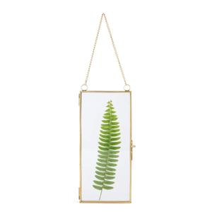 NCYP Small 4.1" x 9" Clear Glass Floating Display Frame for Picture, Certificate, Photo, Pressed Dried Flower - Wall Hanging Plant Clip - Modern Home Vertical Decor, Gold (Glass Frame Only)