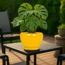 Deep Dream 8 Inch Plant Pots- Ceramic Pots for Plants with Drainage Hole and Saucer, Large Planter Pot for Indoor Plants Outdoor Decor, Yellow