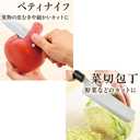 Kakuse Koumei Nakamua Japanese Knife Set of 5 2019 New Ver.