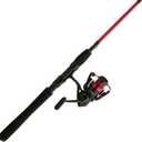 Penn Fierce IV Spinning Reel and Fishing Rod Combo