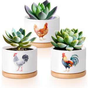 Vesici 3 Pcs Chicken Gifts for Women Chicken Planter Succulent Pots with Drainage and Bamboo Tray Small Ceramic Succulent Planters Animal Plant Pot for Christmas Office Home Decor Plant Lovers