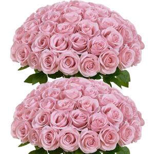 60 PCS Fake Dusty Pink Roses, Artificial Burgundy Flowers Bulk Realistic Silk Faux Rose with Stems for Wedding Decoration Anniversary Bridal Bouquet DIY Floral Arrangement Romantic Home Decor Gifts