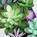 Winlyn 10" Artificial Succulent Arrangement Centerpiece Fake Succulent Plants in Rustic Metal Oval Planter Faux Potted Succulents for Home Office Bedroom Table Windowsill Shelf Mantel Decor