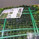 Artificial Grass Wall Boxwood Plant Panel: 20"x20"(12P) UV Resistant