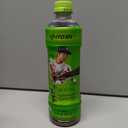 12 Pcs Oi Ocha Unsweetened Green Tea, BB Date 05/15/26