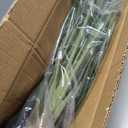 Lifelike Bird of Paradise Artificial Plant 4ft Faux Banana Leaf Tree with 9 Trunks for Home Decor - Perfect Indoor Silk Floor Plant for Living Room, Office, and Bedroom Ambiance Enhancement
