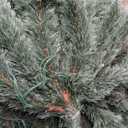6 ft. Pre-Lit PVC Artificial Carolina Pine Tree Flocked Cones Hinged with LED Lights