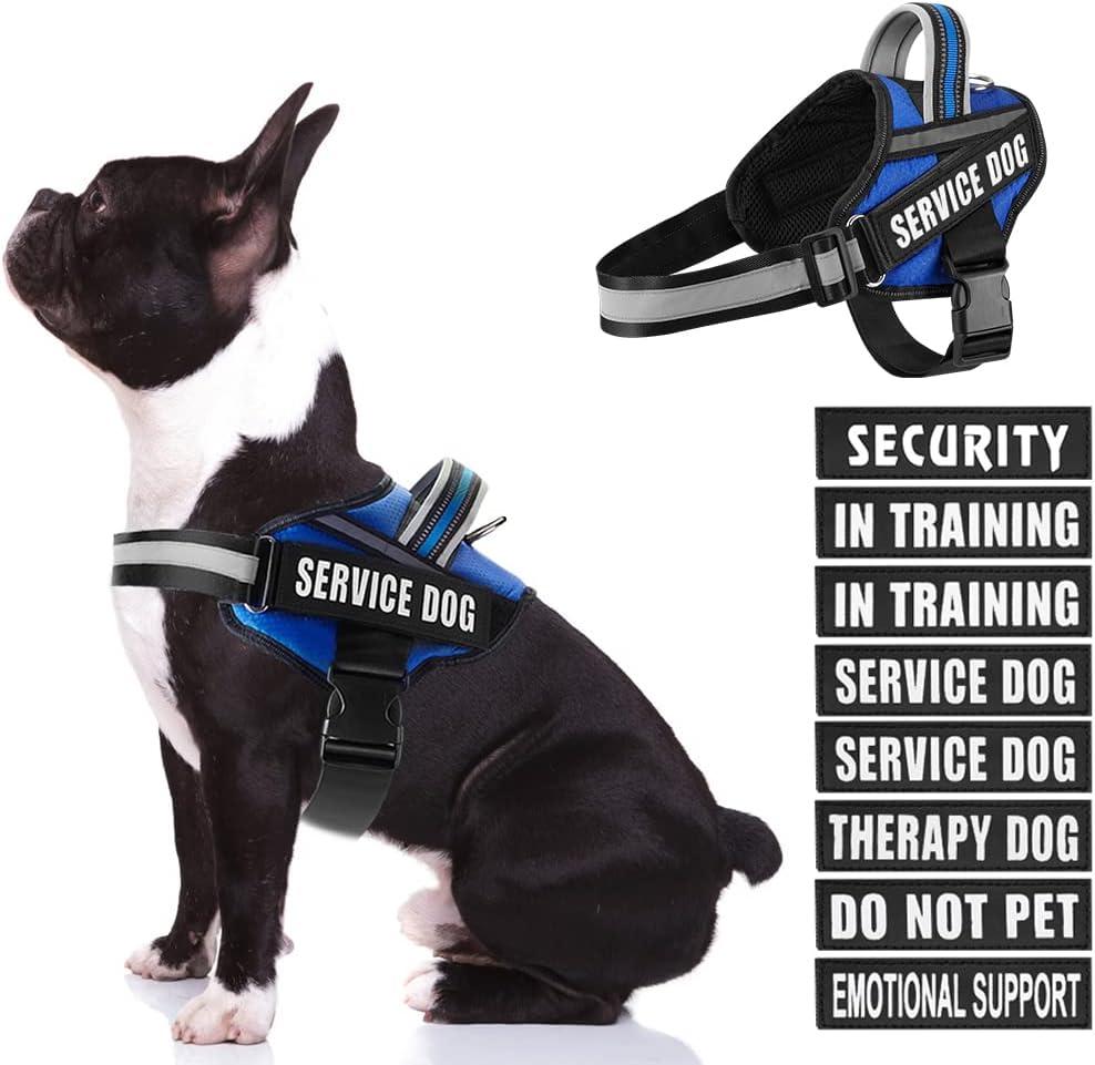 Dog Vest Harness and Patches Set, Animire in Training Service Dog Harness with 10 Dog Patches, Reflective Dog Vest with Handle for Dogs (Blue, Medium)