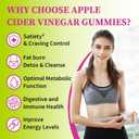 Appetite Suppressant Supplement| Akkermansia Function| Apple Cider Vinegar Gummies with Green Tea Extract, Probiotic for Fat Burner, Detox Cleanse, Metabolism, Energy & Digestive Health, 60 Gummies