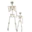 5.4Ft & 3Ft Skeleton for Halloween Decoration
