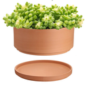 10 Inch Terracotta Shallow Pot with Holes and Saucers, Round Cylinder Succulent Planter Clay Flower Pots for Indoor and Outdoor Use, Decorative Bonsai Succulent for Mini Foliage Plants Orchids