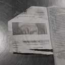 VEVOR Pool Fence, 4 x 108 FT Pool Fences for Inground Pools, Removable Safety Pool Fencing, Easy DIY Installation Swimming Pool Fence, 340gms Teslin PVC Pool Fence Mesh Protects Kids and Pets