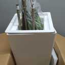 6FT Artificial Dracaena Tree, Fake Tree Indoor with White Tall Planter,Tall Artificial Plants Indoor,Artificial Silk Tree for Home Office Decor (White)