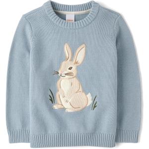 Gymboree Boys' and Toddler Embroidered Pullover Sweater (5T, Dusty Robin Bunny)