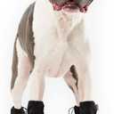 Canada Pooch Dog Winter Boots - Paw Protection, Anti-Slip Dog Shoes with Reflective Strap, Easy On Dog Booties - Black, Size 3