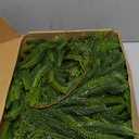 Fovths 6 Ft Christmas Garlands with Lights and Bells Real Touch Norfork Pine Garland Artificial Greenery Garlands for Christmas Mantle, Table Indoor Outdoor Decorations, Green