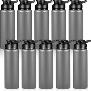 CHENGU 10 Pcs Aluminum Water Bottle 24oz Aluminum Reusable Bottles Lightweight Snap Lid Sports Water Multipack Easy Carry Leak Proof Travel for Gym Camping Hiking Outdoor Fishing (Gray)