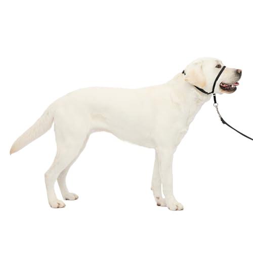 PetSafe Gentle Leader No-Pull Headcollar - Breathable Lightweight Walking Halter - Minimal Strap Design & Padded Nose Loop - Snout-Specific Fit - Helps Gain Easy Control