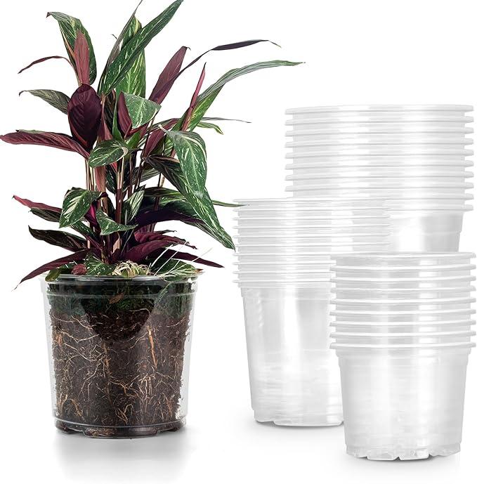 RAOOKIF 30 Pack 5/6/7 Inch Reinforced Clear Nursery Pots with Drainage Holes, Nursery Pots for Plants Variety Pack, Transparent Plastic Plant Pots for Seedlings, Seed Starters