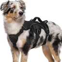 Rabbitgoo Escape Proof Dog Harness, Soft Padded Full Body Pet Harness, Reflective Adjustable No Pull Vest with Lift Handle and Leash Clip for Large Dogs Walking Hiking Training, M, Black