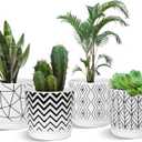 Ton Sin Plant Pots,5.5 Inch White Pots for Indoor Plants with Drainage Holes,Cylinder Flower Pot Ceramic Planters with Saucer,Cactus Succulent Outdoor Garden Pots Set of 4
