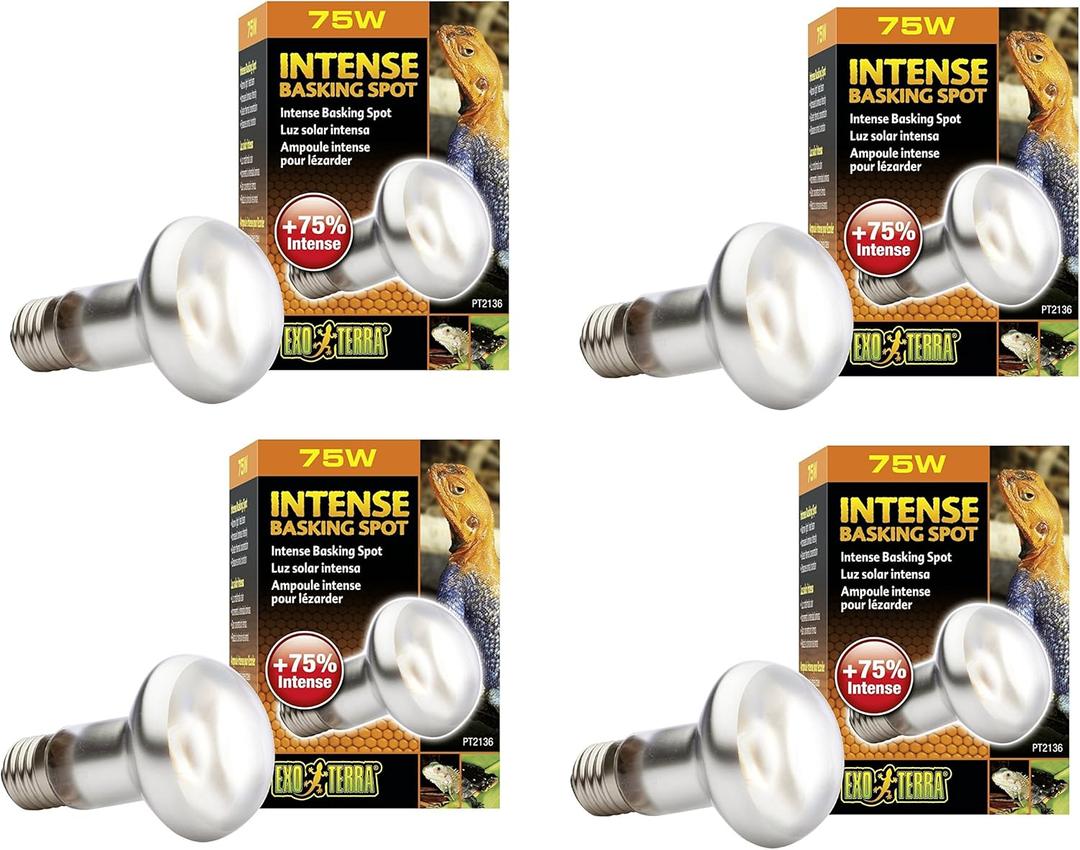 Exo Terra Sun-Glo Basking Infrared Spot Lamp, 75-Watt/120-Volt (4 Pack)