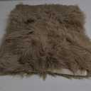 Goolela Bedroom Light Brown Beige Rug 2x3 Faux Fur Washable Shag Area Rug for Living Room Fluffy Throw Playroom Decor Rectangle (2X3 FT Rectangle)