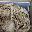 biOrb Décor Set - 30L Pink Ocean