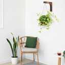 Geelin 4 Pack Wooden Plant Hanger for Wall Mounted Plant Hooks Outdoor Indoor Hanging 6 Inch Farmhouse Hanging Basket Hooks for Garden Home Wall Decoration, L x H x T: 6 x 5 x 0.8inch(Walnut)