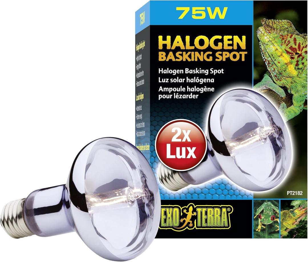 Exo Terra Sun Glo Halogen Basking Spot Lamp  75W Reptile Light Bulb, Broad Spectrum Daylight, Enhances Coloration, Promotes Health, PT2182