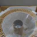 Boho Ceiling Fan with Light and Remote,Rattan Fandelier Ceiling Fan with Light Flush Mount Woven Farmhouse Caged Ceiling Fans for Bedroom Living Room Kitchen(Enclosed 6 Speeds), Brown 