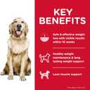 Hill's Science Diet Adult Perfect Weight Wet Dog Food, Chicken & Vegetable, 12.8 oz. Cans, 12-Pack, EXP:  12/2027