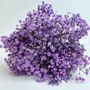 Preserved Baby's Breath 3 Bunches, 100% Natrual Fresh Gypsophila Long Lasting Flowers for Vase Arrangements Home Decoration Photo Props Parties and Weddings, DIY Décor-Light Purple